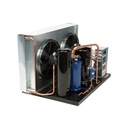 Unidad Cond. 5Hp R22/R134/R404 A-M-B 220V/1F Ffap-050Z-Cfv-072 Copeland