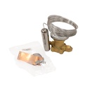ELEMENTO TERMOSTATICO PARA CUERPO TE5 F22/F507 DANFOSS