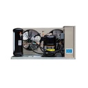 UNIDAD COND. 3HP HERM. R404 B-B 220/3F ZS21KAETF5618 COPELAND BOHN
